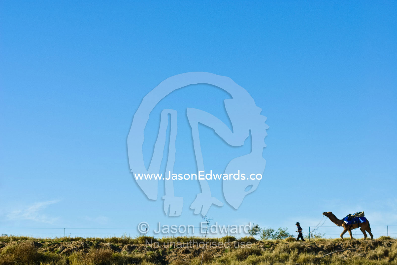 In the Outback a jockey runs ahead of their camel at an endurance race Hughenden, Queensland, Australia