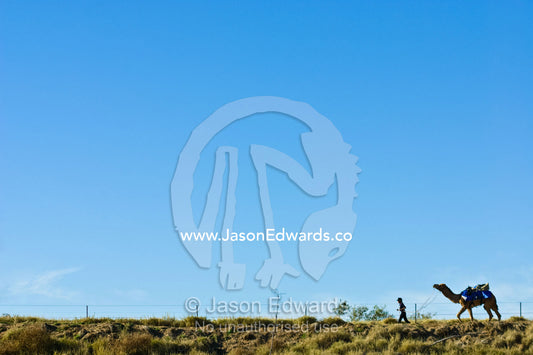 In the Outback a jockey runs ahead of their camel at an endurance race Hughenden, Queensland, Australia