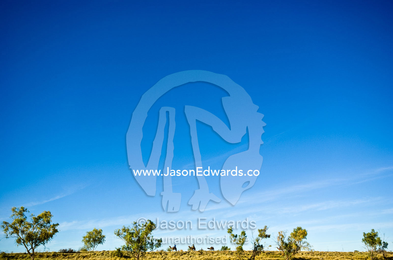 Camel jockeys march through the Outback during an endurance race. Hughenden, Queensland, Australia