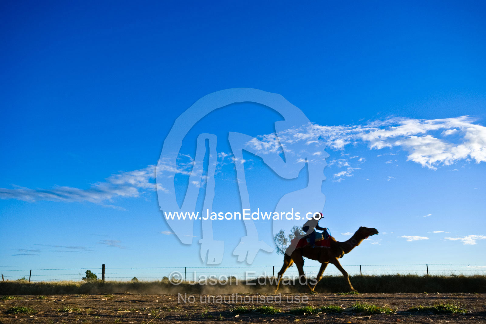 Tough outback conditions at a camel endurance race test man and beast. Hughenden, Queensland, Australia
