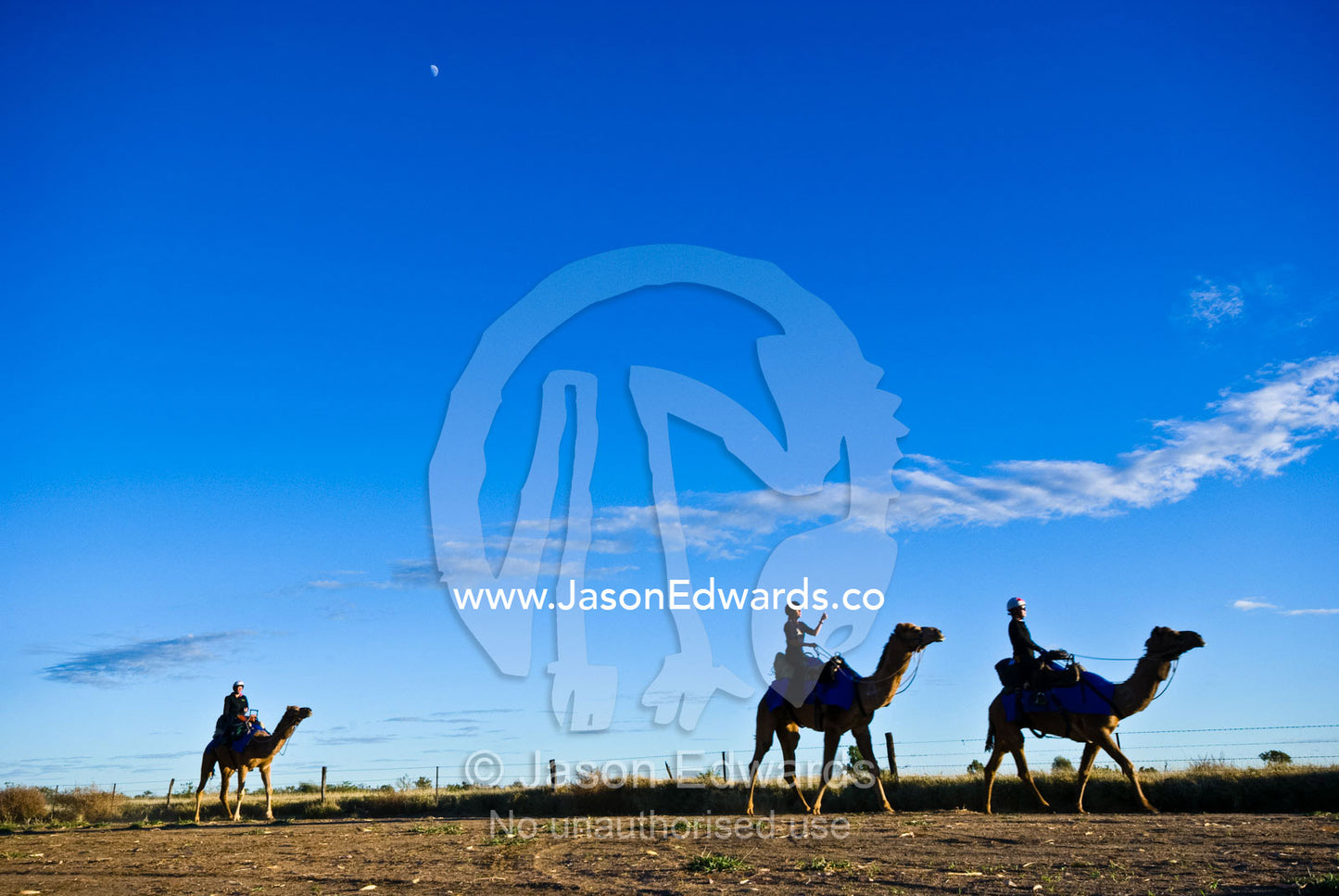 Camels and jockeys stride below a deep blue Outback sky during a race. Hughenden, Queensland, Australia