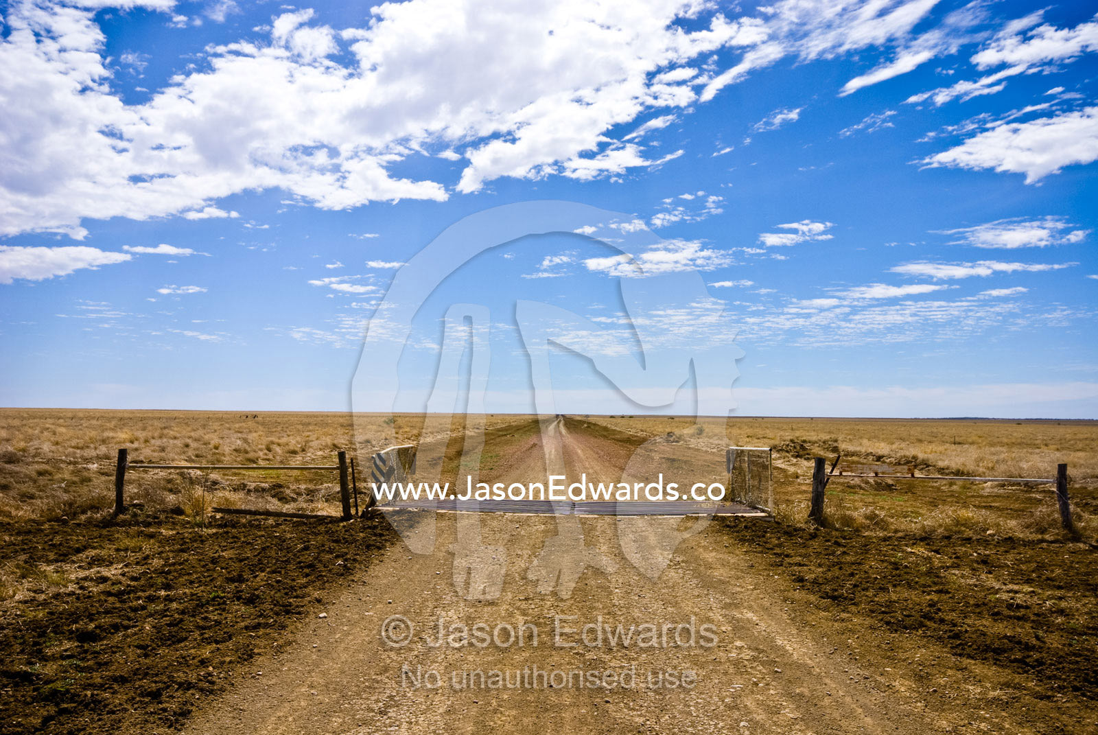 A rough dirt track and cattle grid forms a major road in the Outback. Hughenden Muttaburra Road, Queensland, Australia