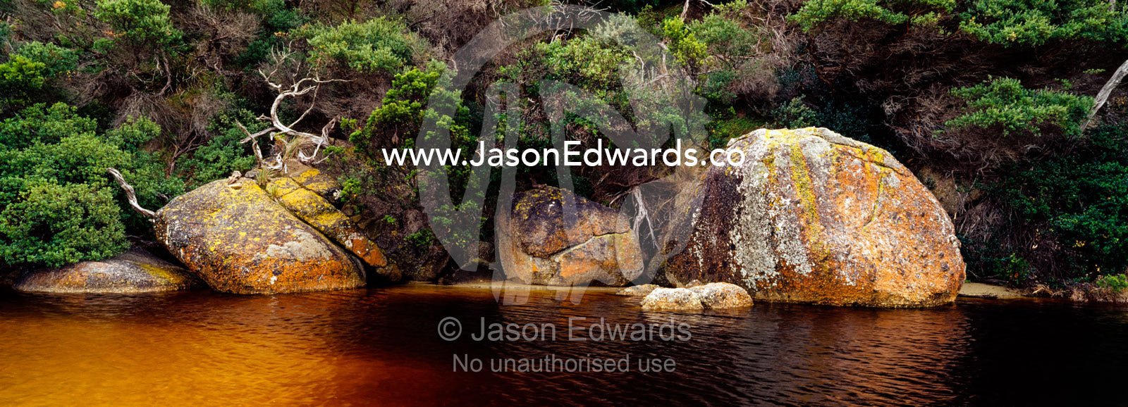 Lichen encrusted granite boulders line a small tannin stained stream. Wilsons Promontory National Park, Victoria, Australia.