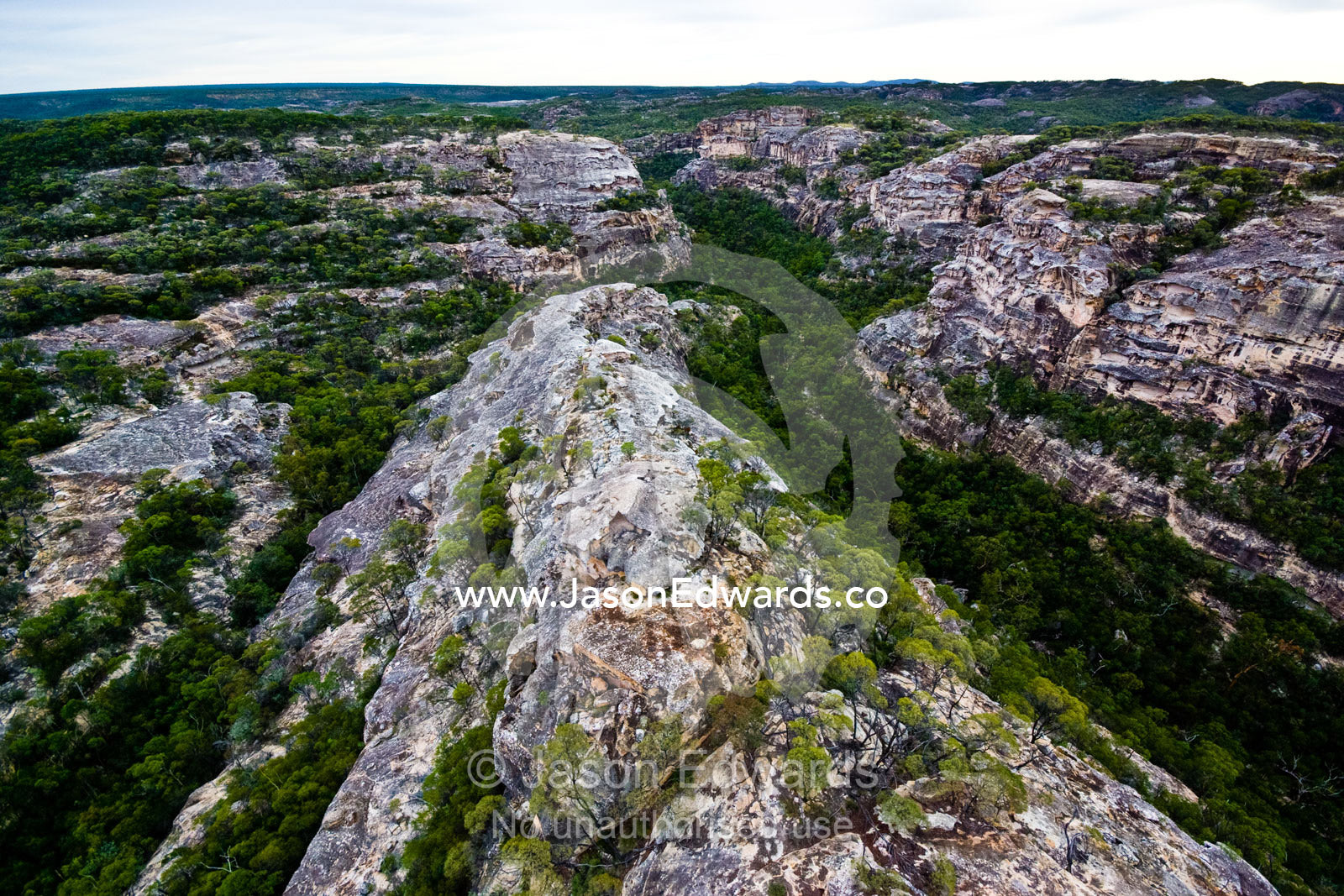 White sandstone bluffs tower over Lancewood forests in deep gorges. White Mountains National Park, Queensland, Australia.