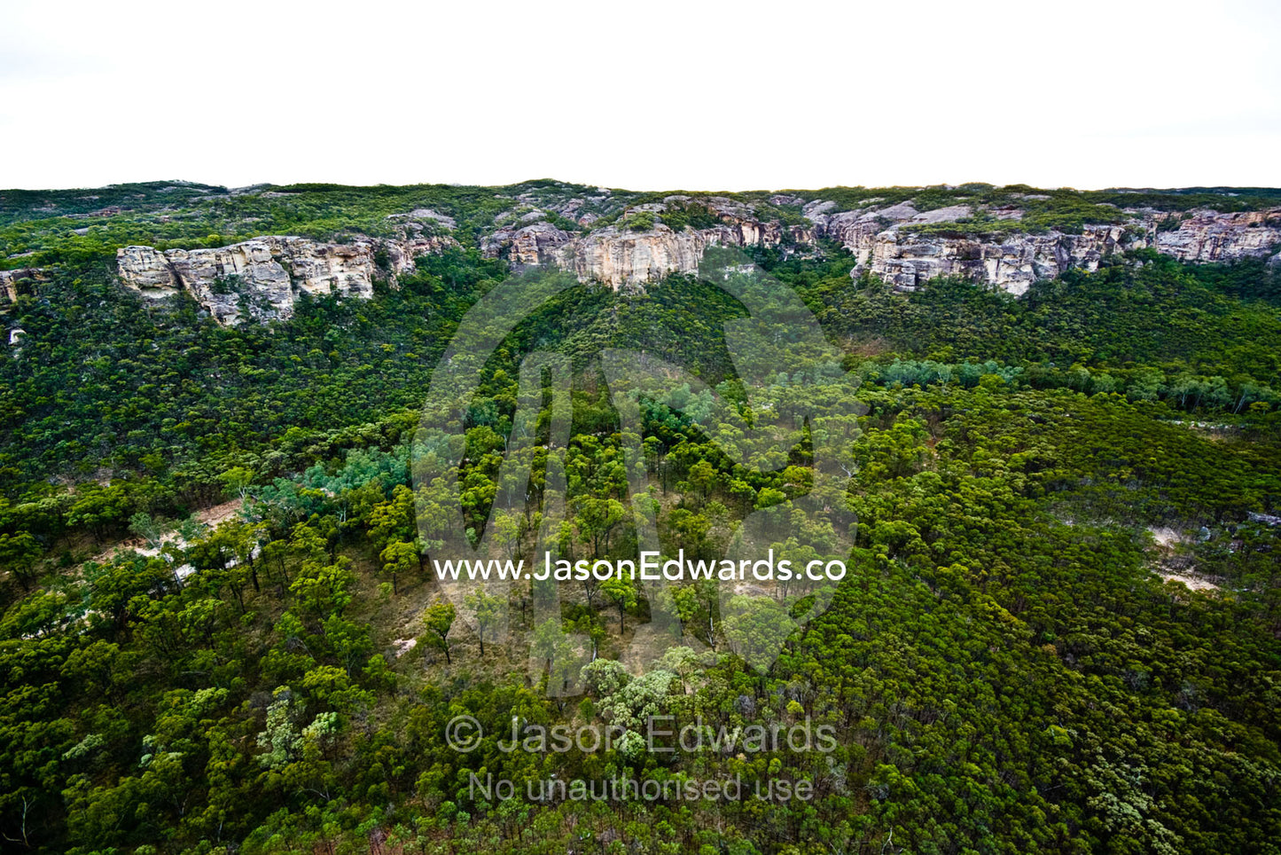 White sandstone bluffs tower over Lancewood forests in deep gorges. White Mountains National Park, Queensland, Australia
