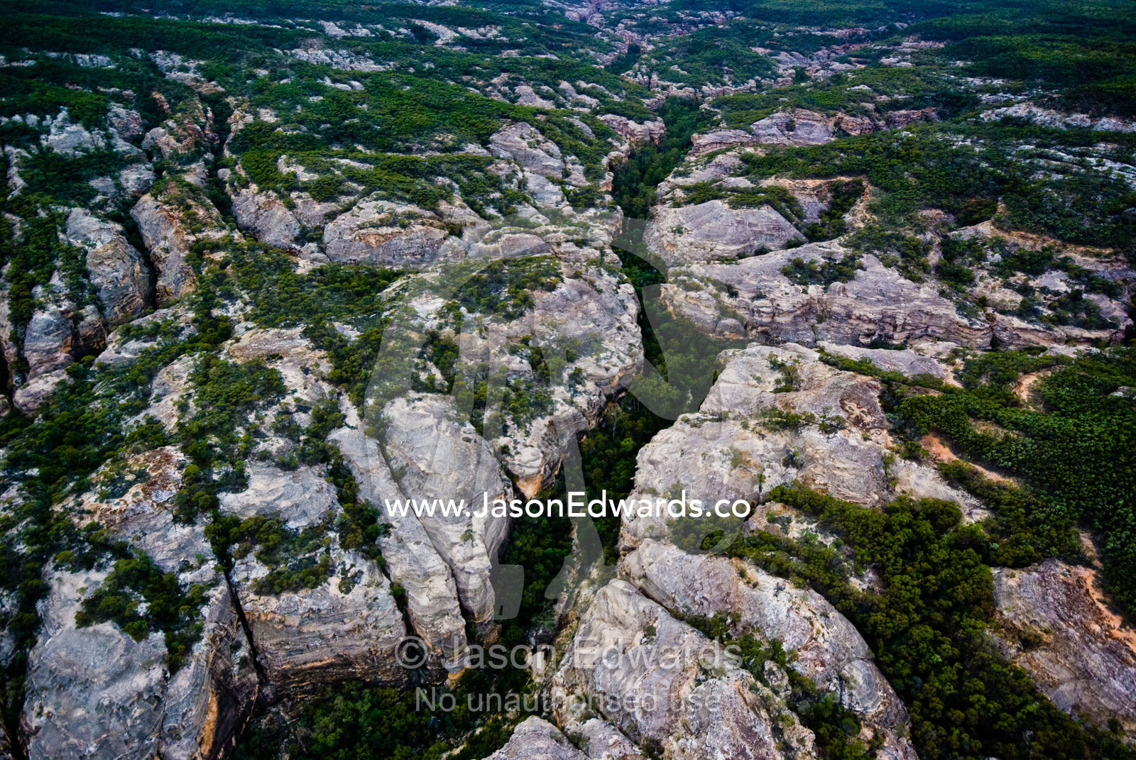White sandstone bluffs tower over Lancewood forests in deep gorges. White Mountains National Park, Queensland, Australia