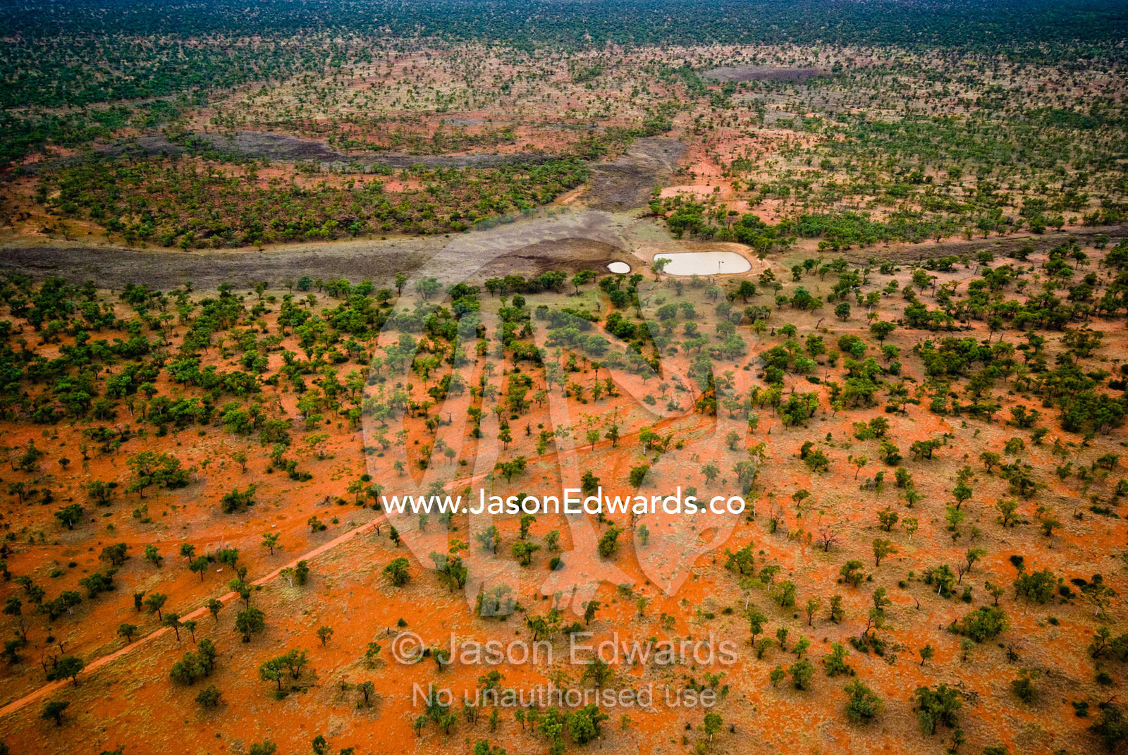 A dam waters cattle on a remote outback station in the red desert. between Hughenden and White Mountains National Park, Queensland, Australia.