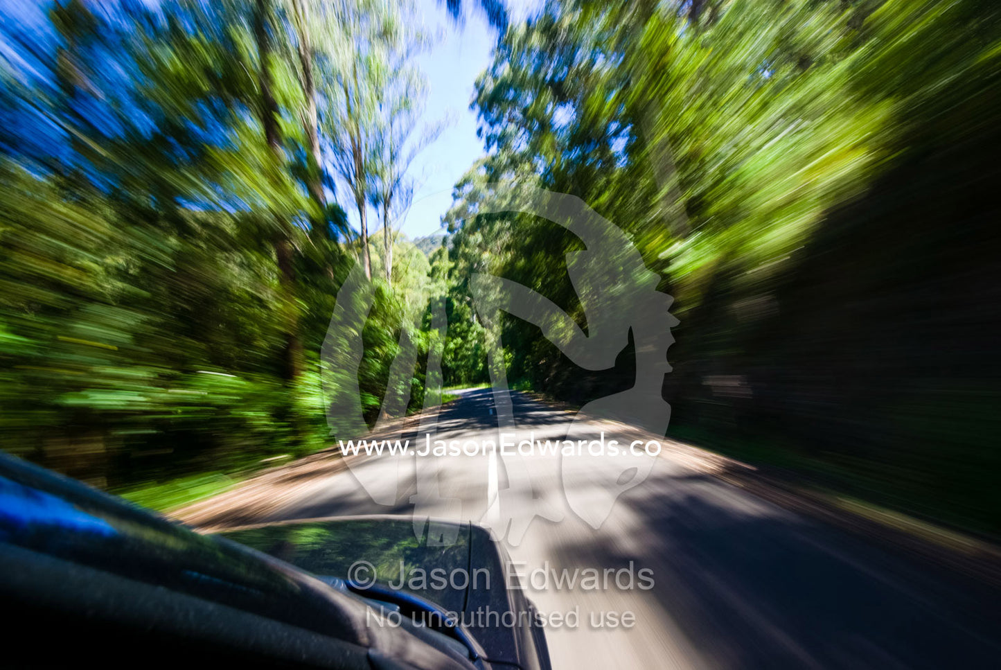 A car speeds along a tight, winding forested road on a summer day. Great Dividing Range, Eildon State Park, Victoria, Australia.