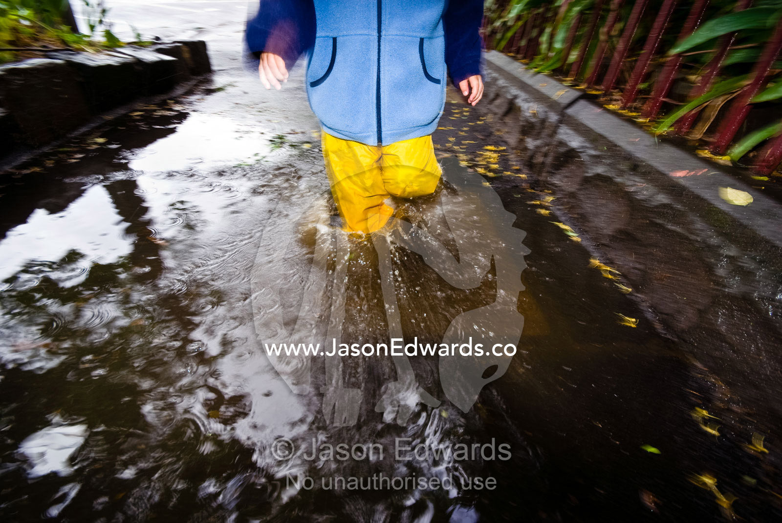 A toddler wades through a puddle during a sudden summer downpour. Carlton North, Victoria, Australia.