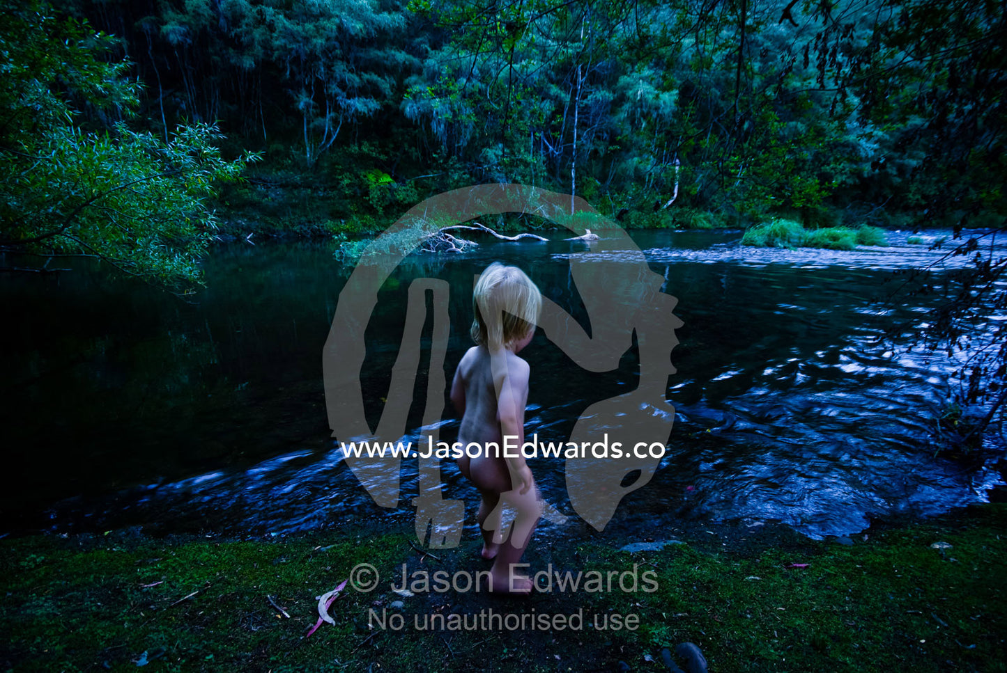 A young boy cautiously watches an alpine stream in a cool forest. Upper Goulburn River, Jamieson, Victoria, Australia.