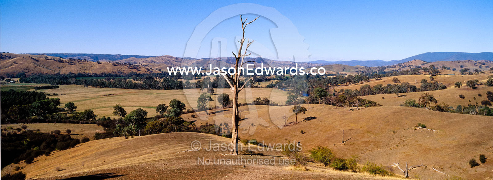 The sun beats down on rolling hills on drought-stricken farmland. Alexandra, Victoria, Australia
