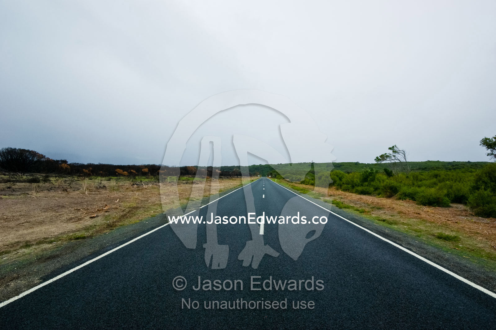 A straight road dissects a patch of coastal heath destroyed by fire. Wilsons Promontory National Park, Victoria, Australia