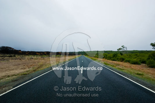 A straight road dissects a patch of coastal heath destroyed by fire. Wilsons Promontory National Park, Victoria, Australia