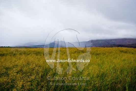 A rain storm over coastal flood plains at the foot of burnt mountains Wilsons Promontory National Park, Victoria, Australia