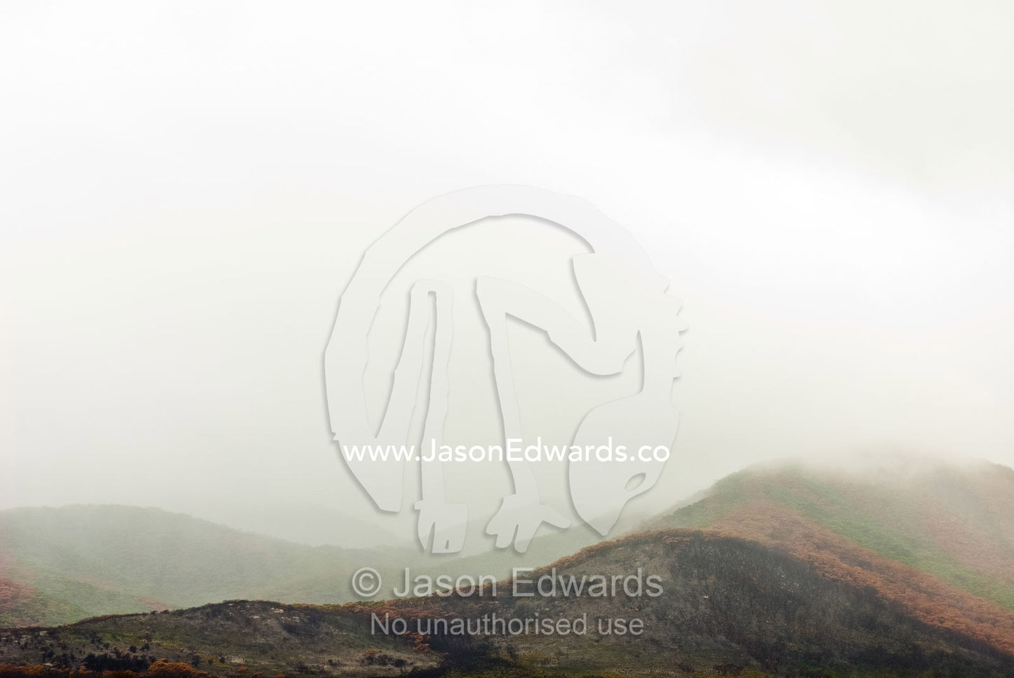 Mist and rain descend over a coastal mountain ridge destroyed by fire. Wilsons Promontory National Park, Victoria, Australia