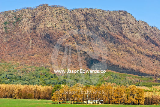The burnt umber shades of a forest destroyed by fire near farmland. Cathedral Range State Park, Victoria, Australia
