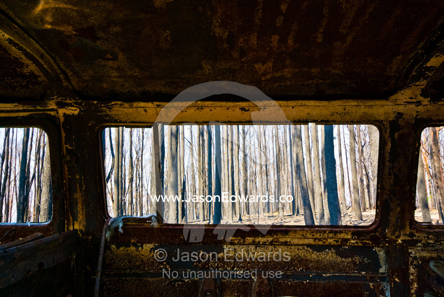 The shell of a burnt out car rests amongst charred trees in a forest. Bald Spur Road, Kinglake, Victoria, Australia