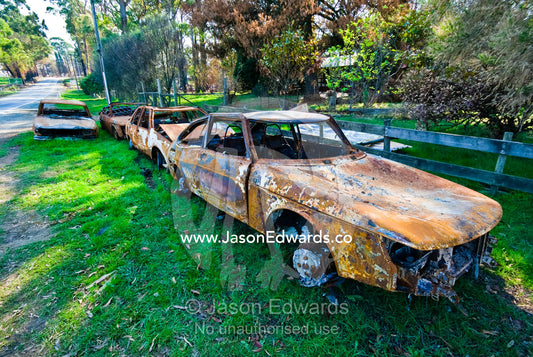 Car shells burnt in a forest fire await collection and wrecking. Kinglake, Victoria, Australia