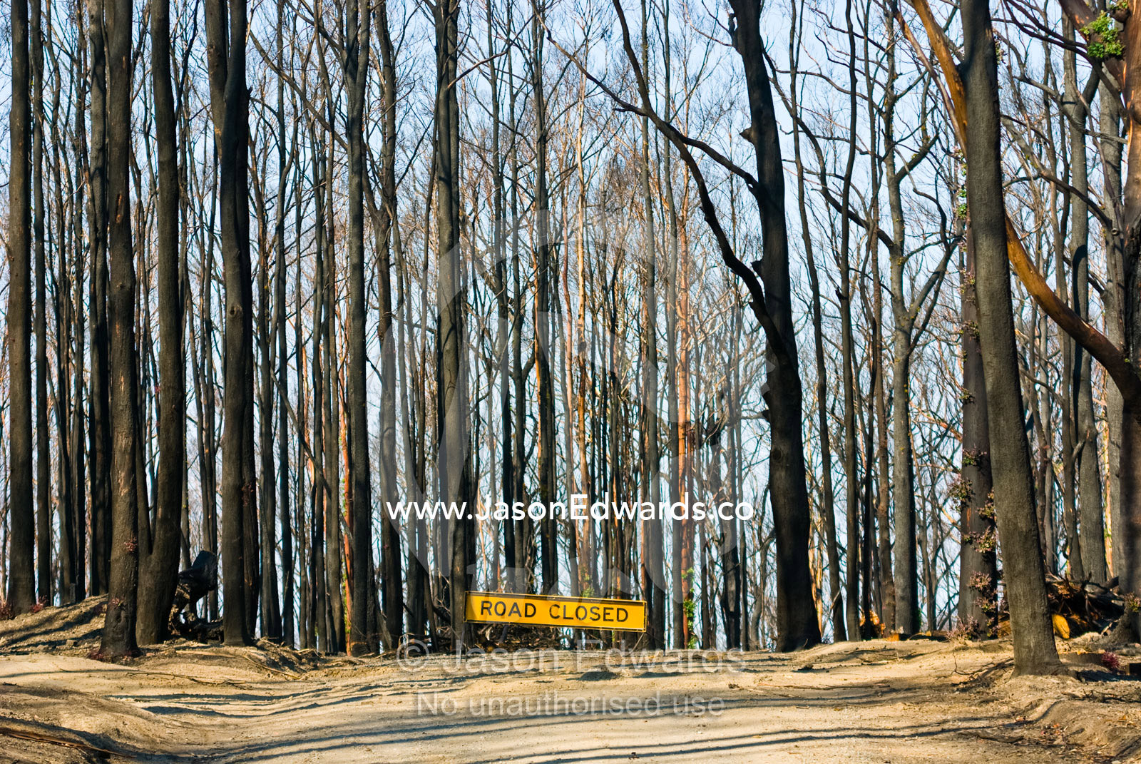 A sign bars access to a forest road following a devastating bushfire. Kinglake, Victoria, Australia