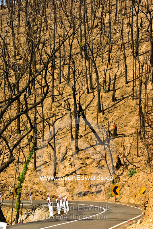 A road winds it's way through a steep mountain pass and burnt forest. Mount Slide, Kinglake National Park, Victoria, Australia