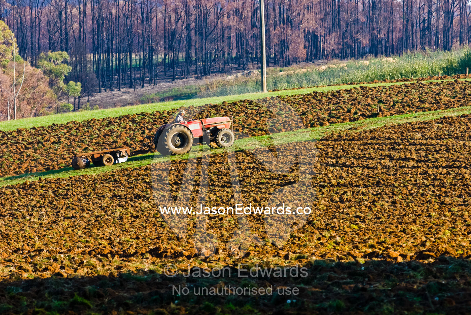 A farmer ploughs his fields beneath a back-drop of fire ravaged forest Kinglake Central, Victoria, Australia