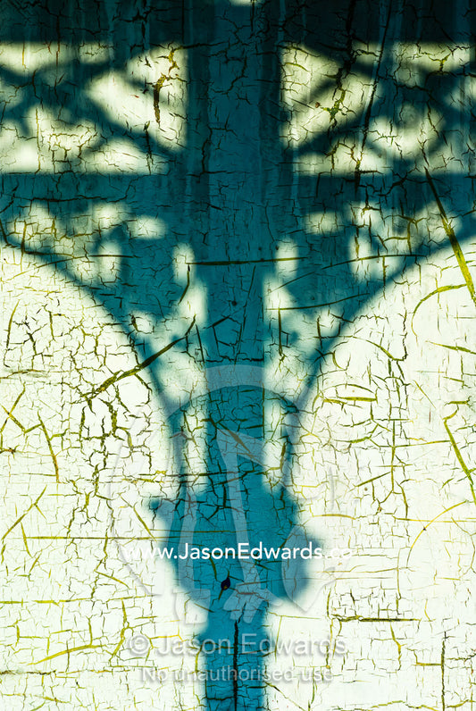 Afternoon sun casts shadows of a Victorian era steel lattice on a wall North Carlton, Victoria, Australia