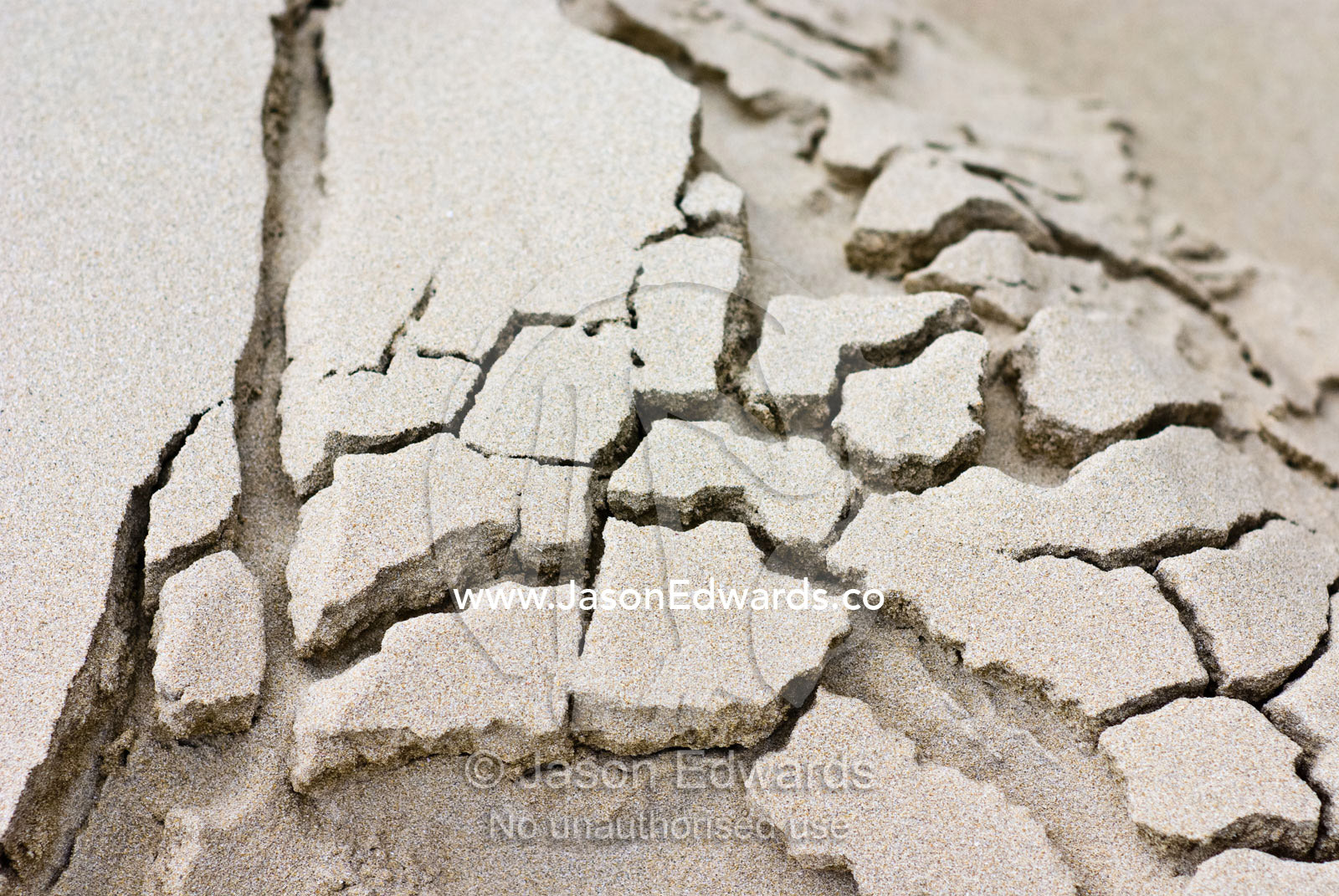 The surface of a sand dune cracks and slides along a beach. Sandy Point, Victoria, Australia