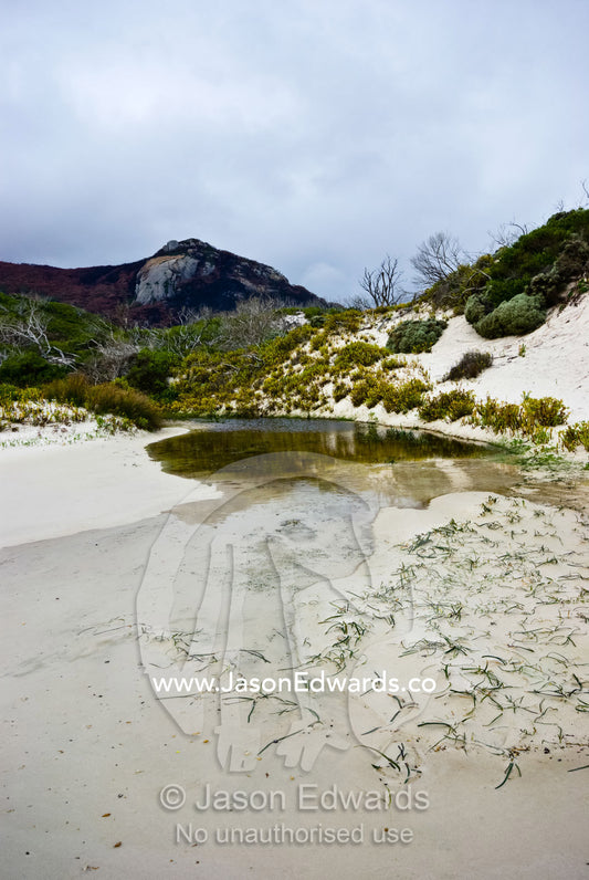 A small tidal inlet flows between sand dunes on a remote beach. Mount Bishop, Leonard Bay, Wilsons Promontory National Park, Victoria, Australia.