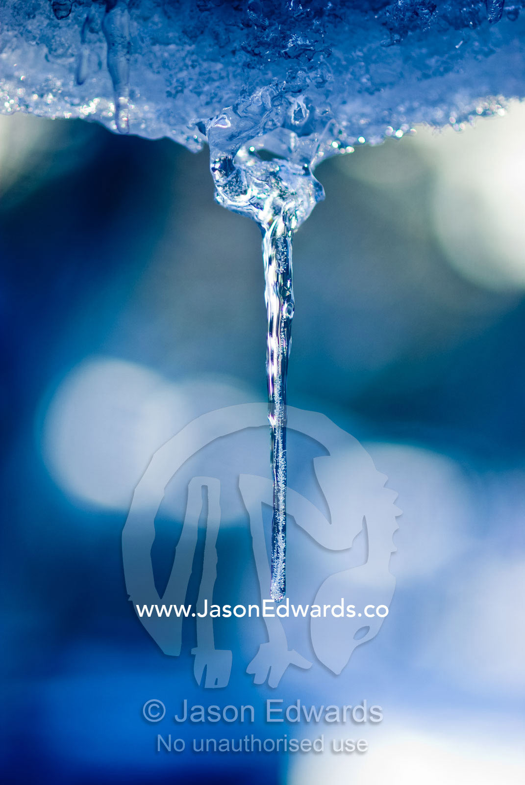 Water dripping from an overhang freezes in long delicate icicles. Alpine National Park, Great Dividing Range, Victoria, Australia.