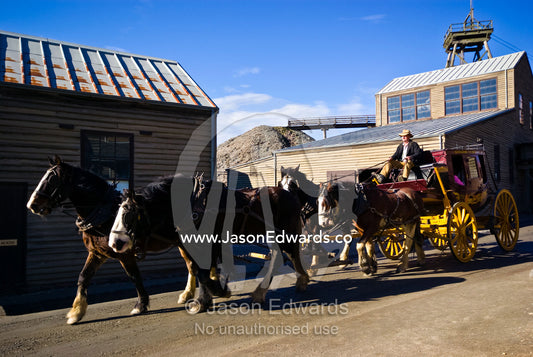 A team of Clydesdale horses pull a stagecoach in a gold mining town. Ballarat, Victoria, Australia.