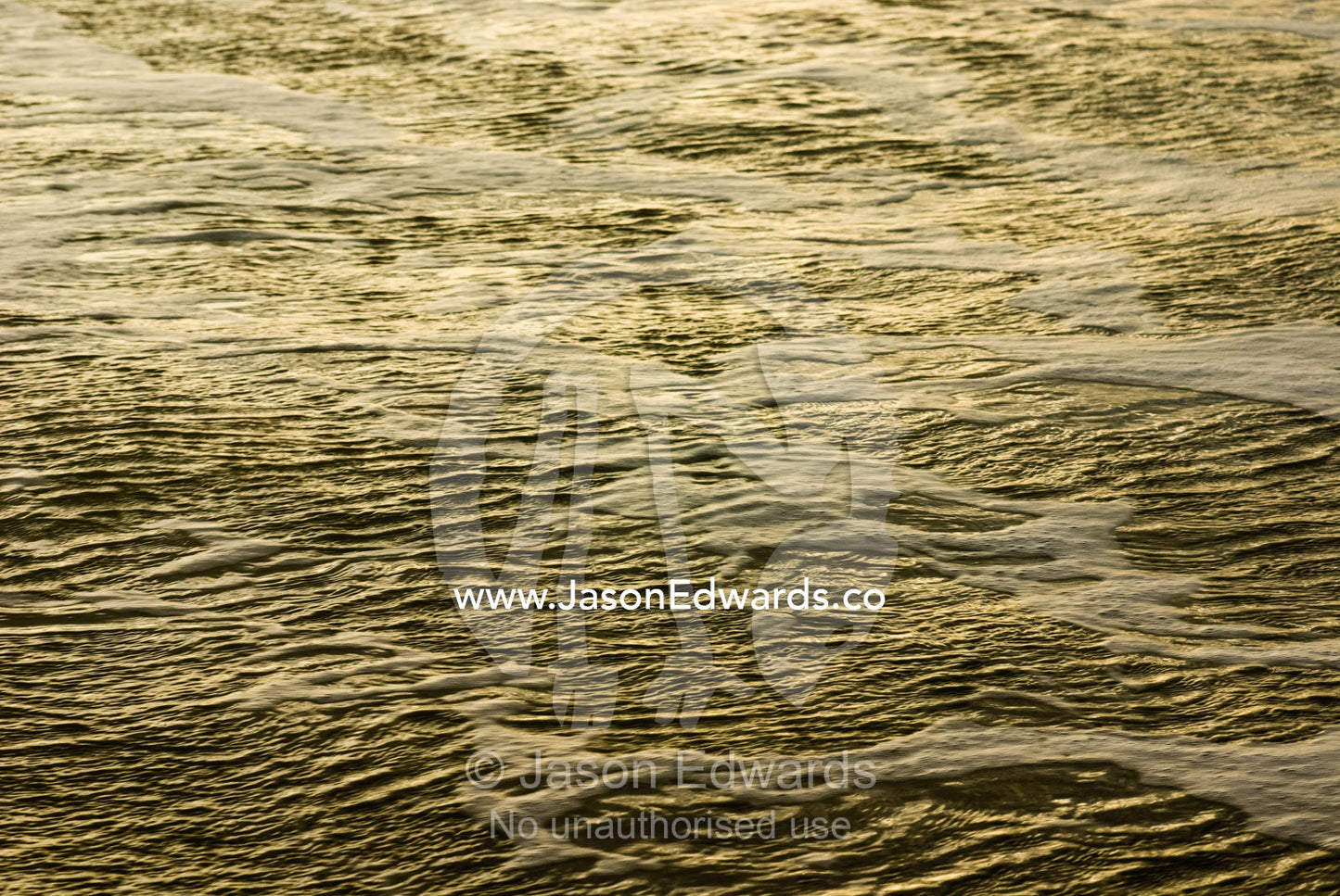 Golden light reflects off a windblown ocean surface covered in foam. Cape Liptrap Coastal Park, Victoria, Australia