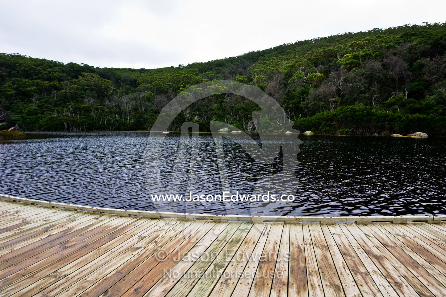 A timber boardwalk along the shore of a small forest river. Tidal River, Wilsons Promontory National Park, Victoria, Australia