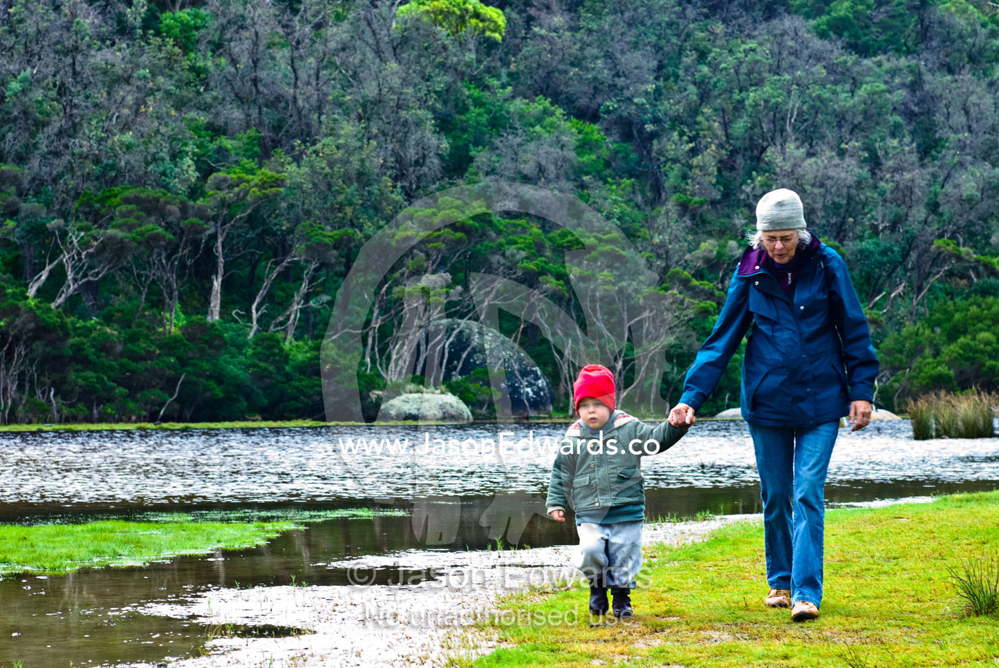 A toddler holding hands with his grandmother as they walk by a river. Tidal River, Wilsons Promontory National Park, Victoria, Australia