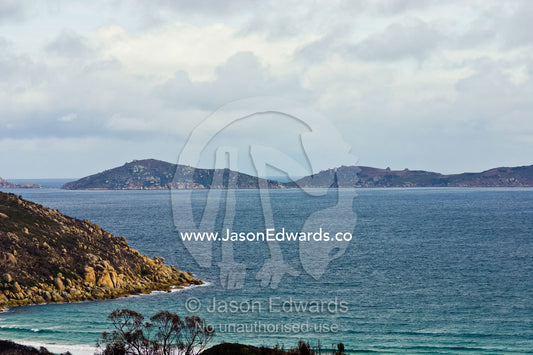 A sheltered granite bay and small offshore island with rolling hills. Picnic Bay, Norman Island, Wilsons Promontory National Park, Victoria, Australia