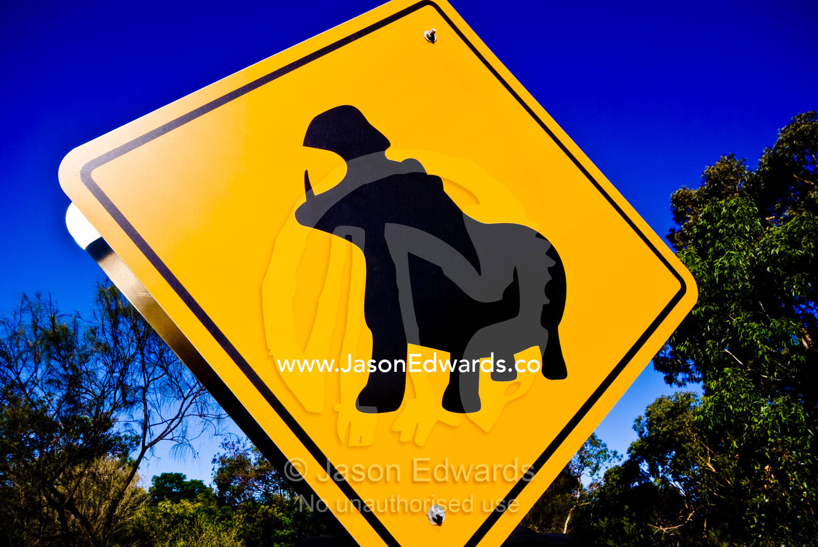 A colorful yellow road sign warns of danger from Nile Hippopotamus. Werribee Open Range Zoo, Werribee, Victoria, Australia