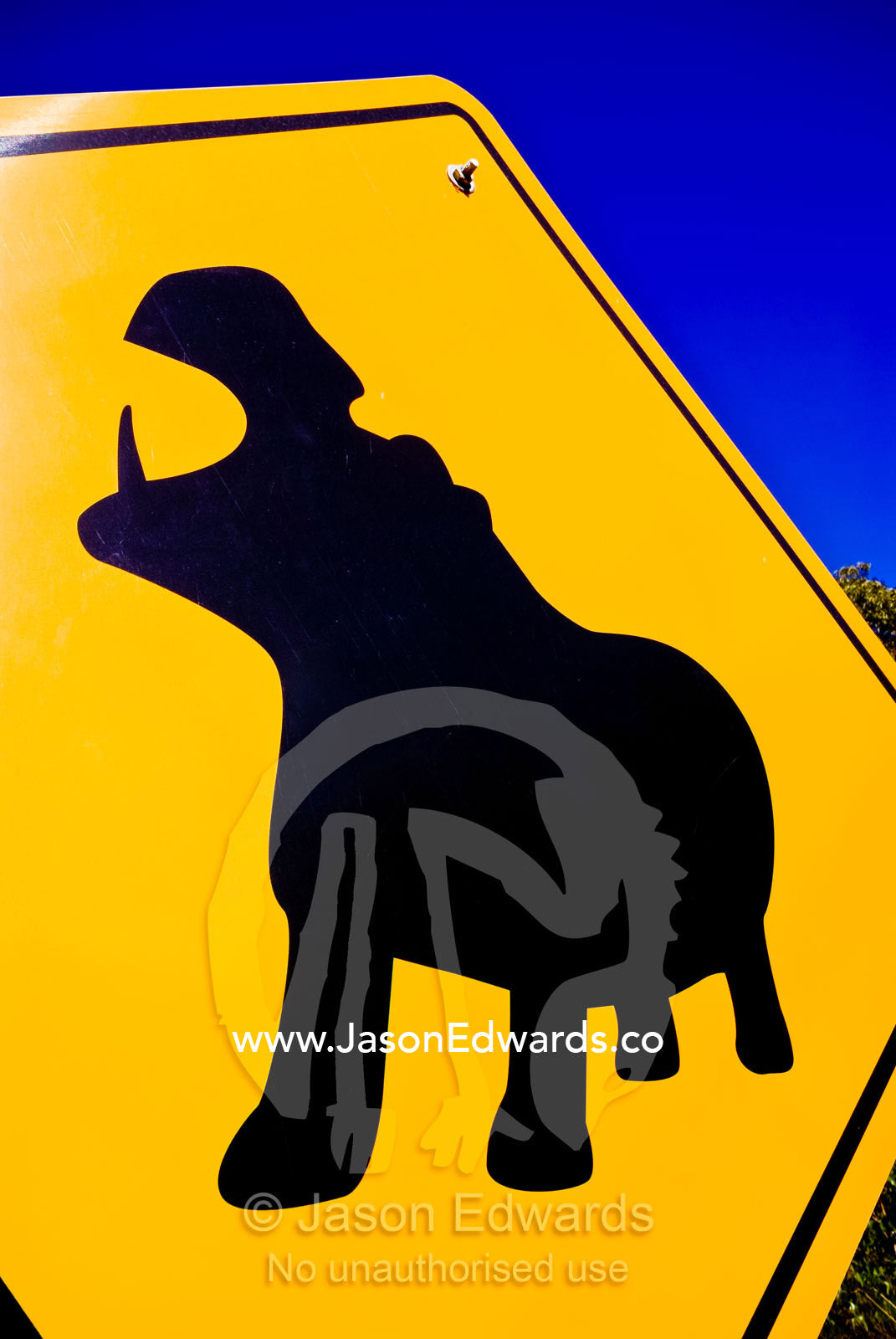 A colorful yellow road sign warns of danger from Nile Hippopotamus. Werribee Open Range Zoo, Werribee, Victoria, Australia