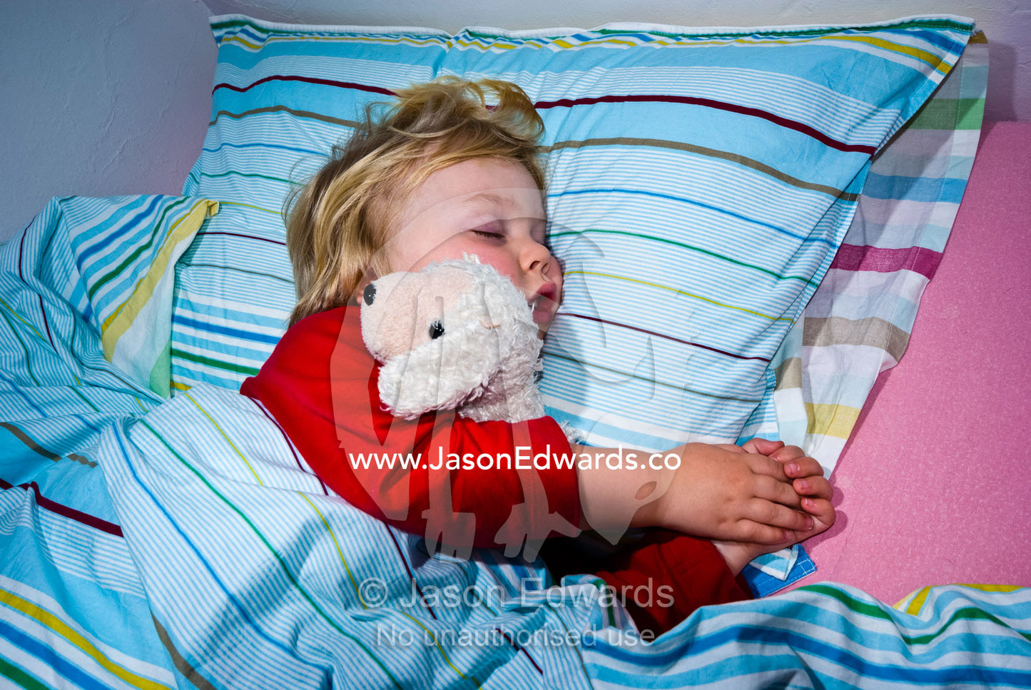 A toddler cuddles a woolen sheep toy whilst fast asleep in bed. North Carlton, Victoria, Australia