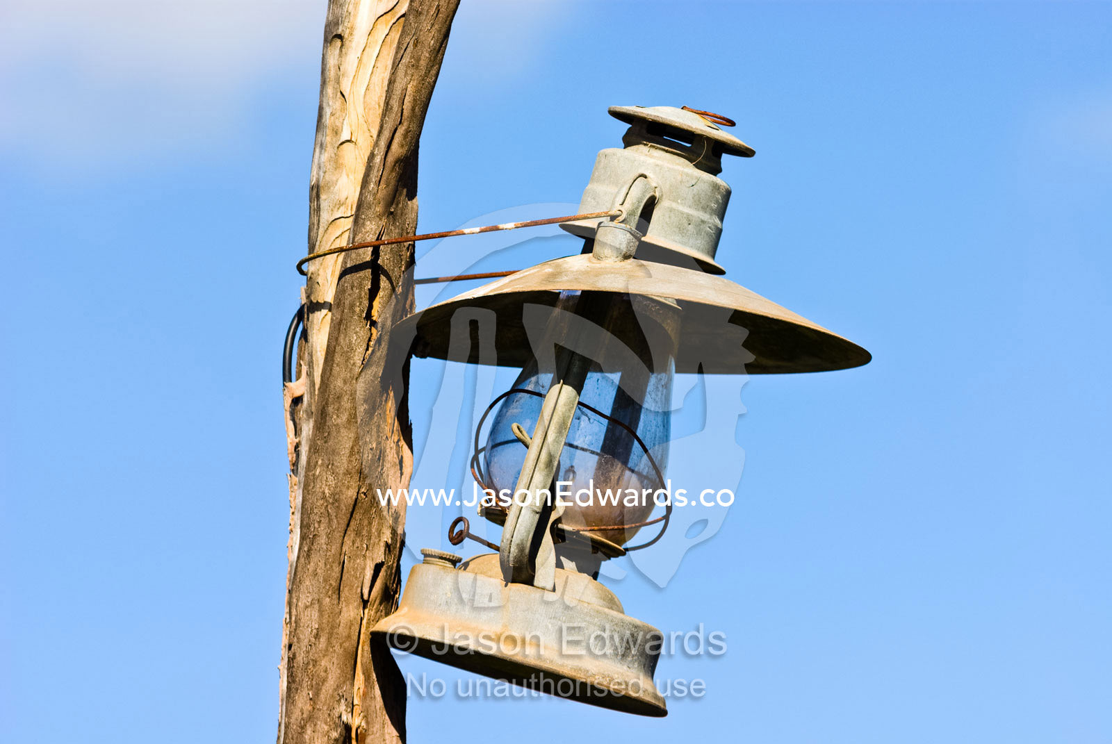 An antique kerosene lantern hanging from a tree branch. Werribee Open Range Zoo, Werribee, Victoria, Australia