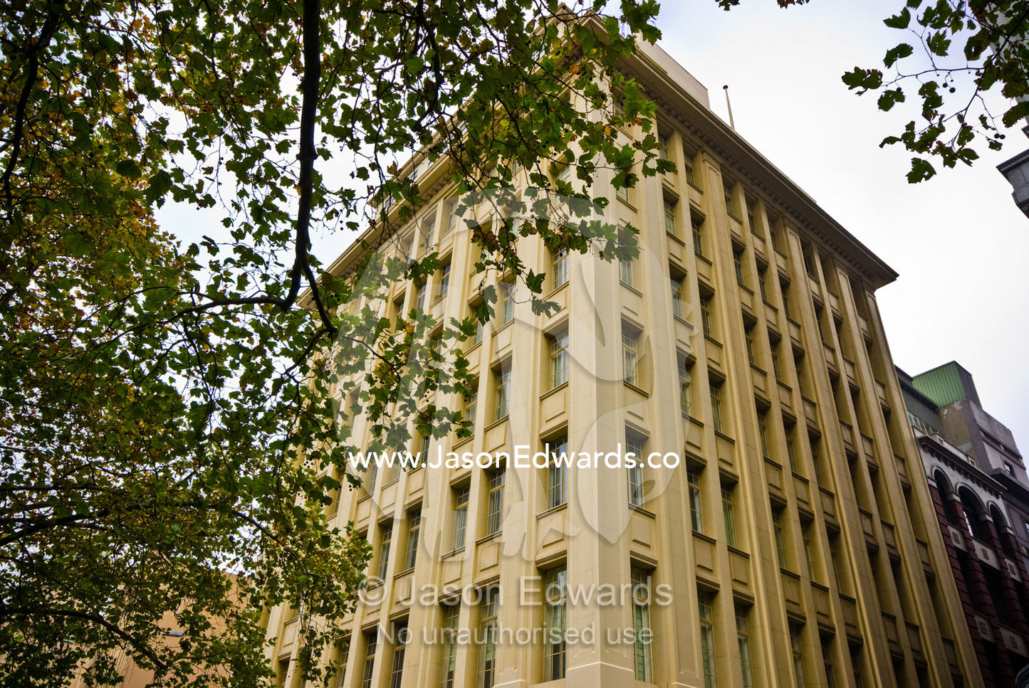 Windows in an Art Deco apartment building in a tree lined city street. Flinders Lane, Melbourne, Victoria, Australia