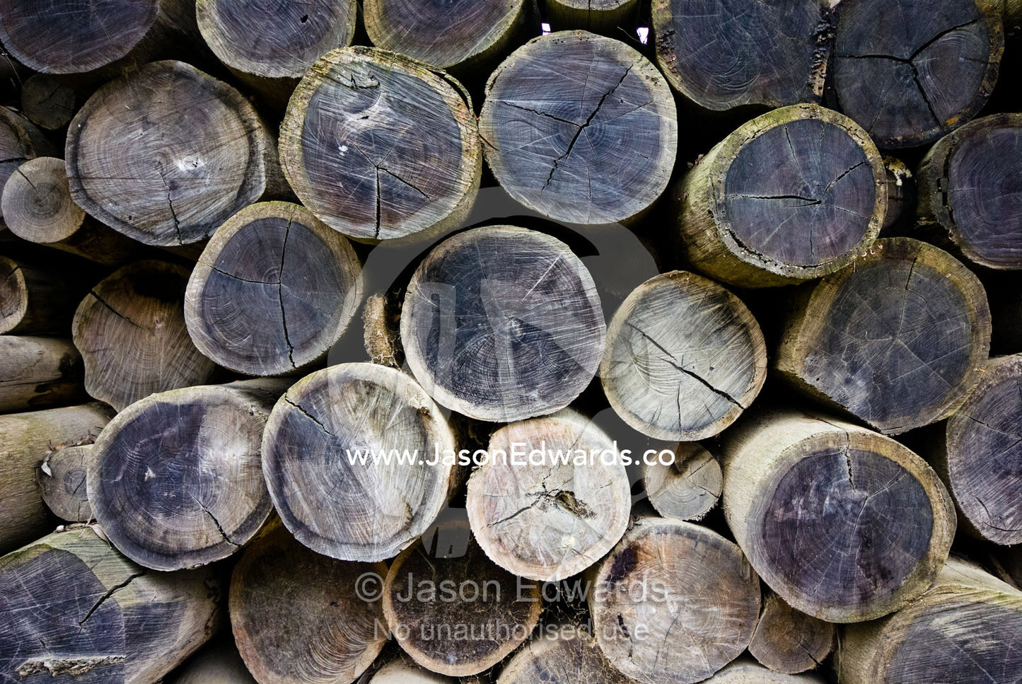 Logs cut for construction are stacked in a heaped rows to dry. Mount Pleasant, Victoria, Australia