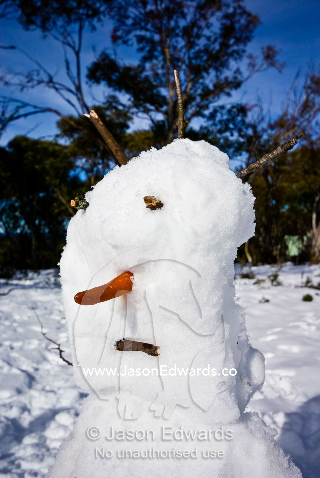 A snowman with a carrot for a nose and twigs for hair and a mouth. Dinner Plain, Great Dividing Range, Victoria, Australia
