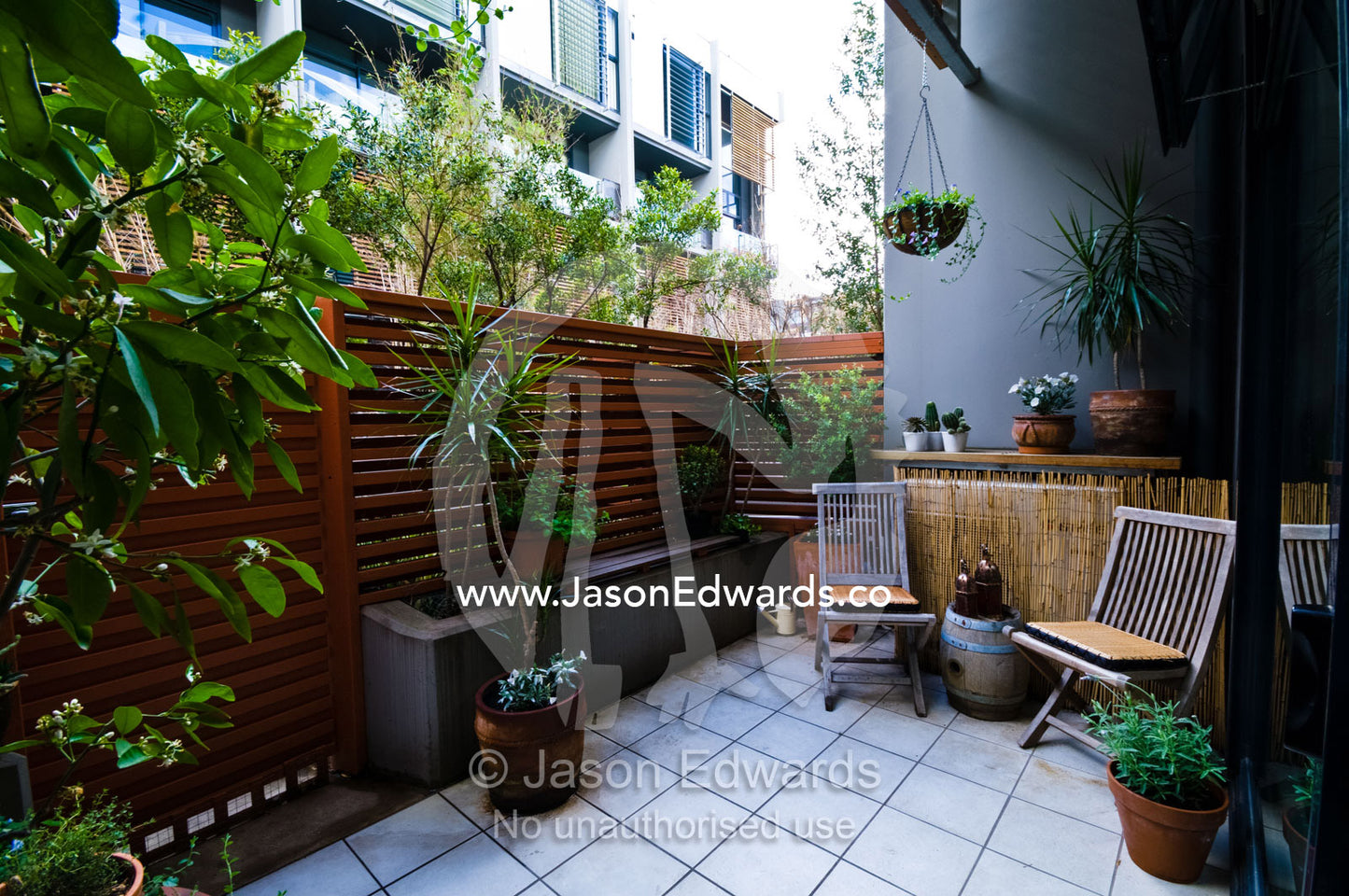 A small paved and gardened courtyard in an inner city townhouse. North Melbourne, Victoria, Australia