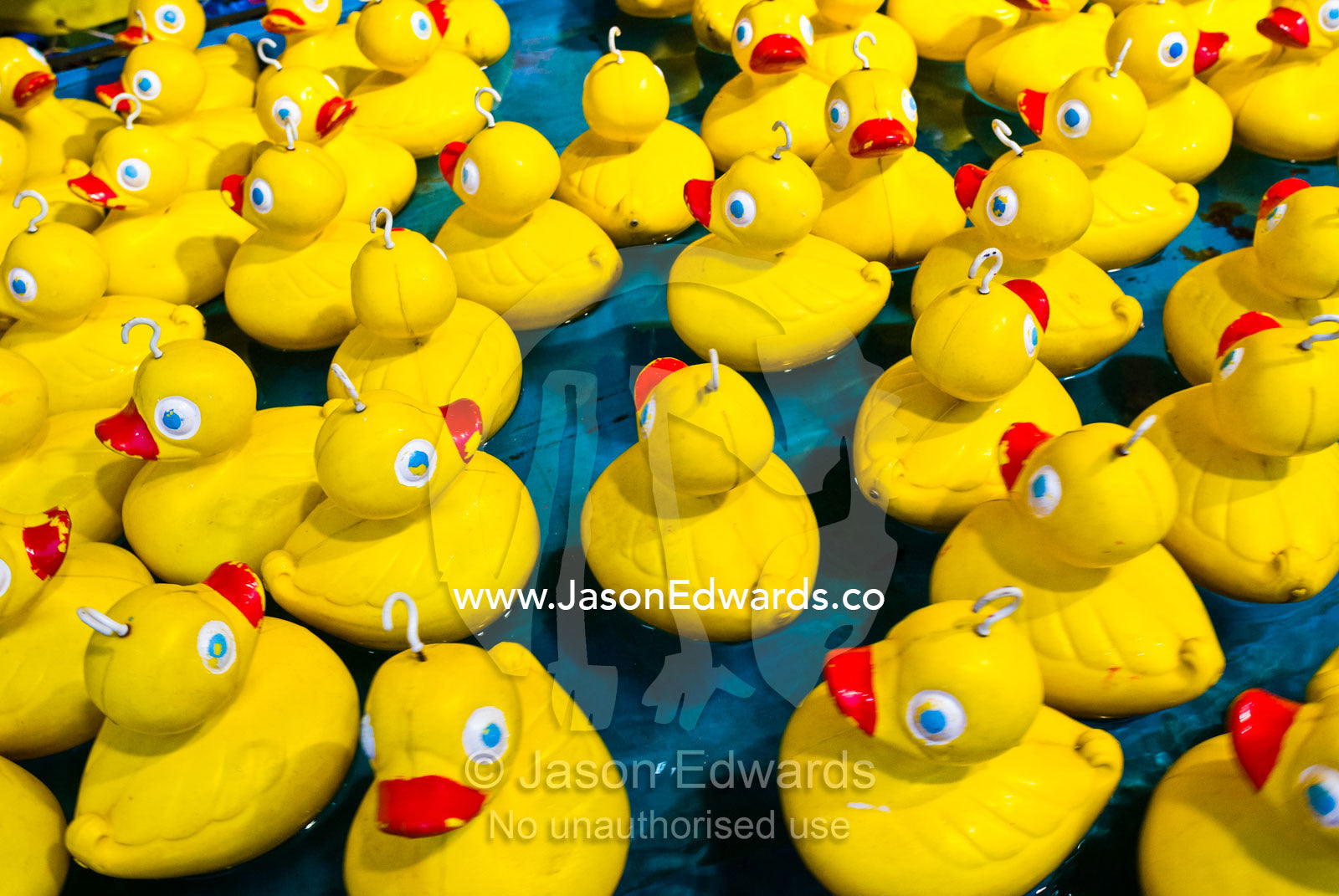 A flock of yellow plastic ducks float on a pond in a carnival sideshow Royal Melbourne Agricultural Show, Flemington, Victoria, Australia