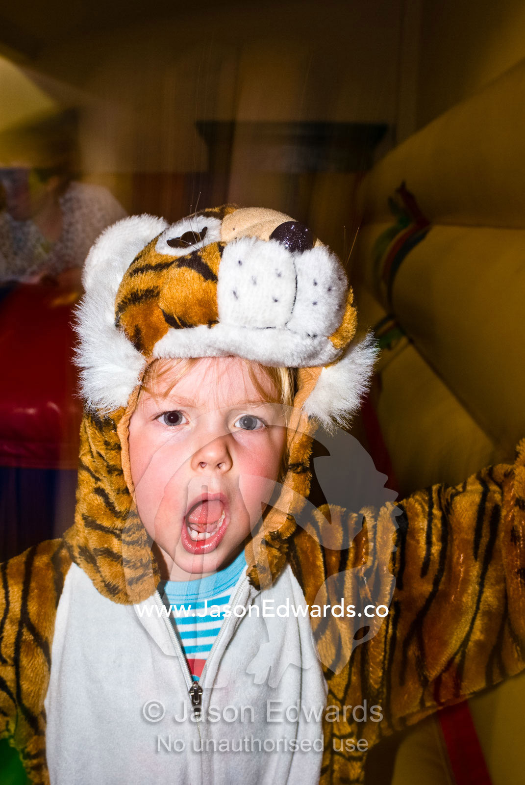 A small boy dressed as a tiger at a childrens play center roars loudly Hawthorn, Victoria, Australia