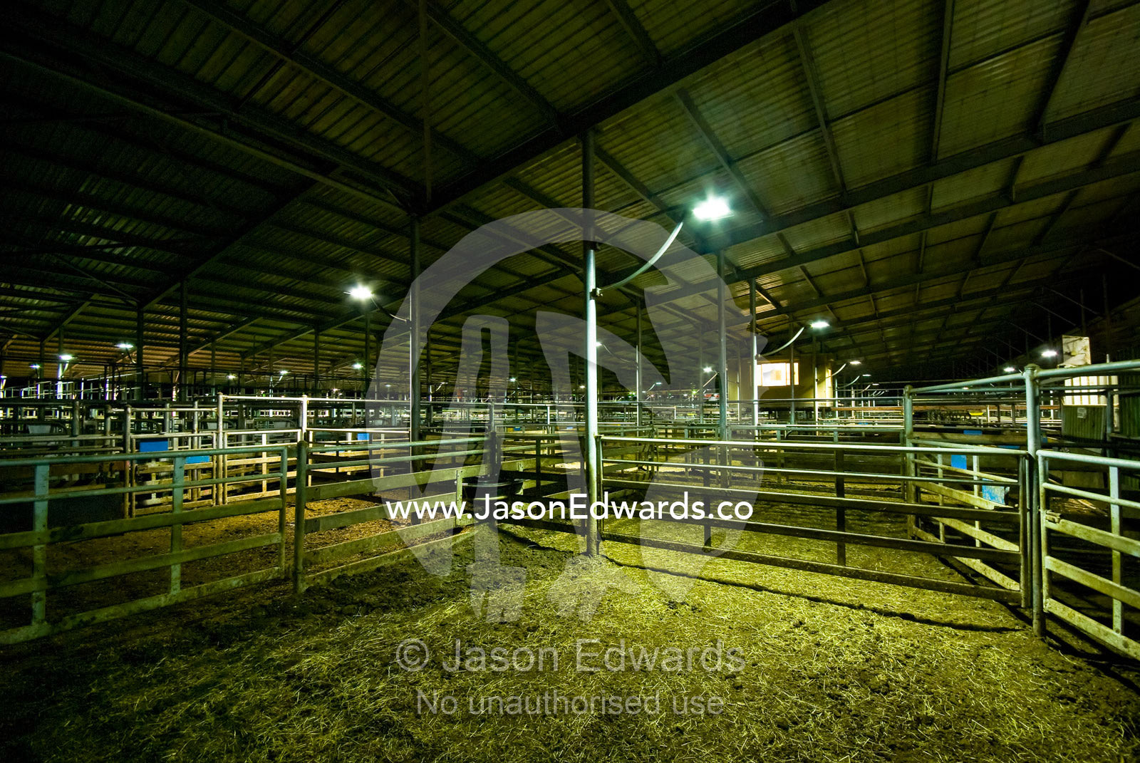 Empty corrals in cattle sale yards at night awaiting stock arrival. Koonwarra Saleyards, Koonwarra, South Gippsland, Victoria, Australia