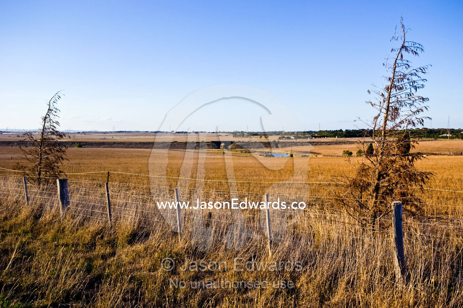 Vast yellow fields of grazing land in the grip of a prolonged drought. Geelong Ballan Road, Lovely Banks, Victoria, Australia