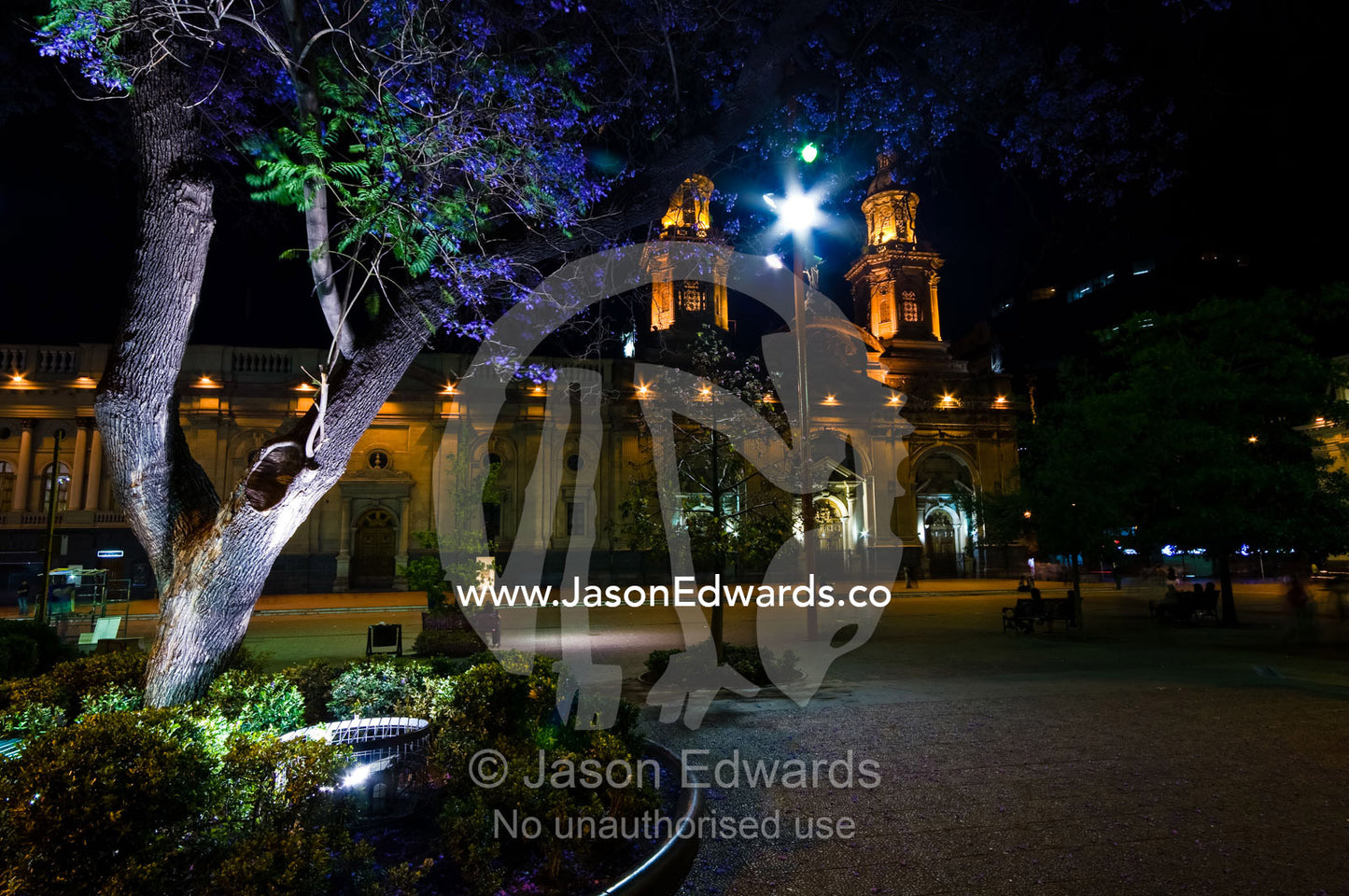 A Jacaranda tree leads to the facade of a Christian church at night. The Cathedral, Catedral Metropolitana de Santiago, Plaza de Armas, Santiago, Chile