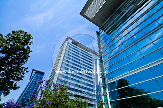 A modern glass office tower rises above trees reflecting the blue sky. Providencia, Santiago, Chile