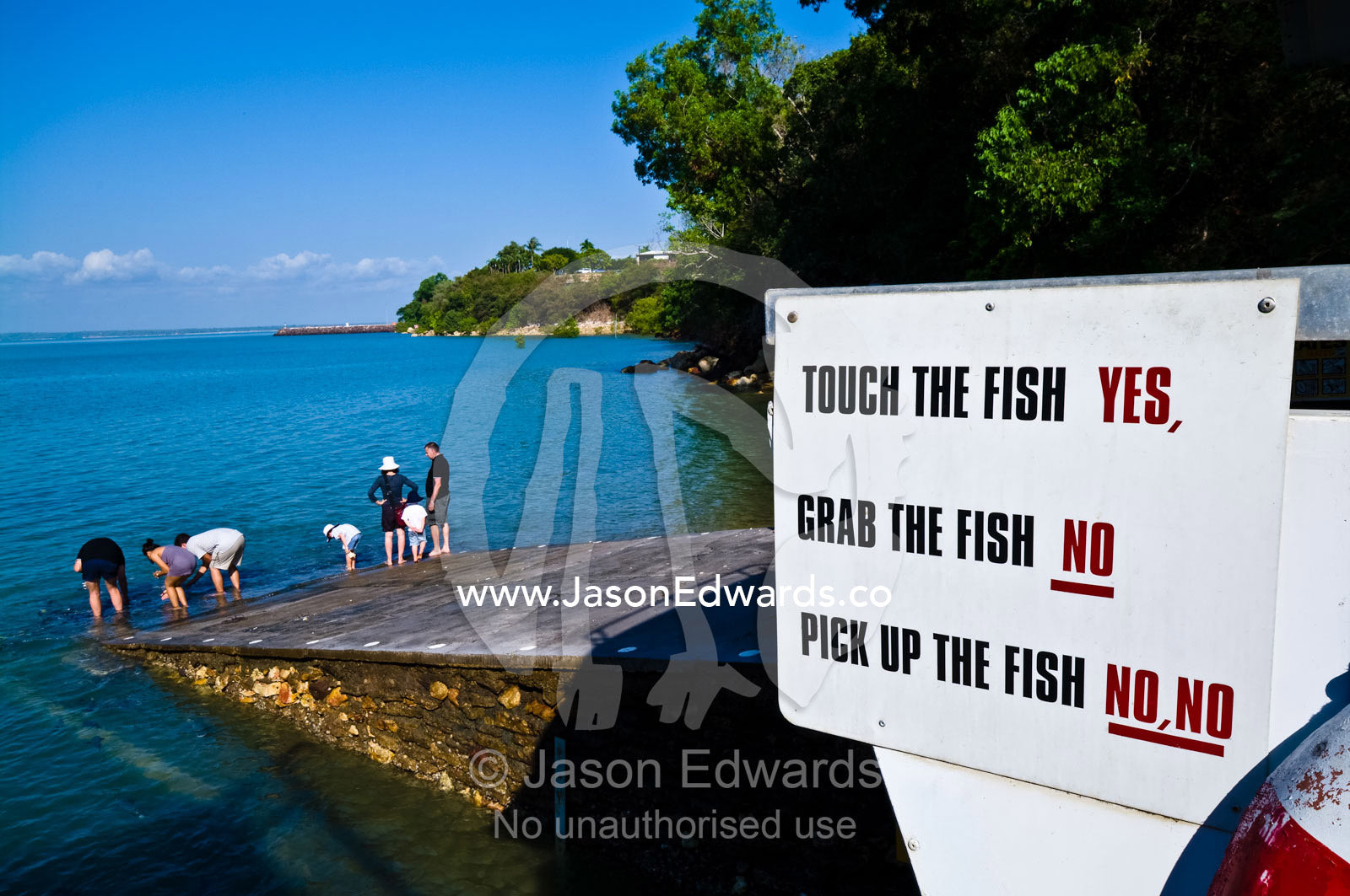 A warning sign advises tourists how to behave when feeding fish. Aquascene, Doctors Gully, Darwin, Northern Territory, Australia