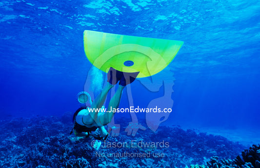 A scuba diver with a monofin and video camera explores a tropical reef Coral Sea, Queensland, Australia